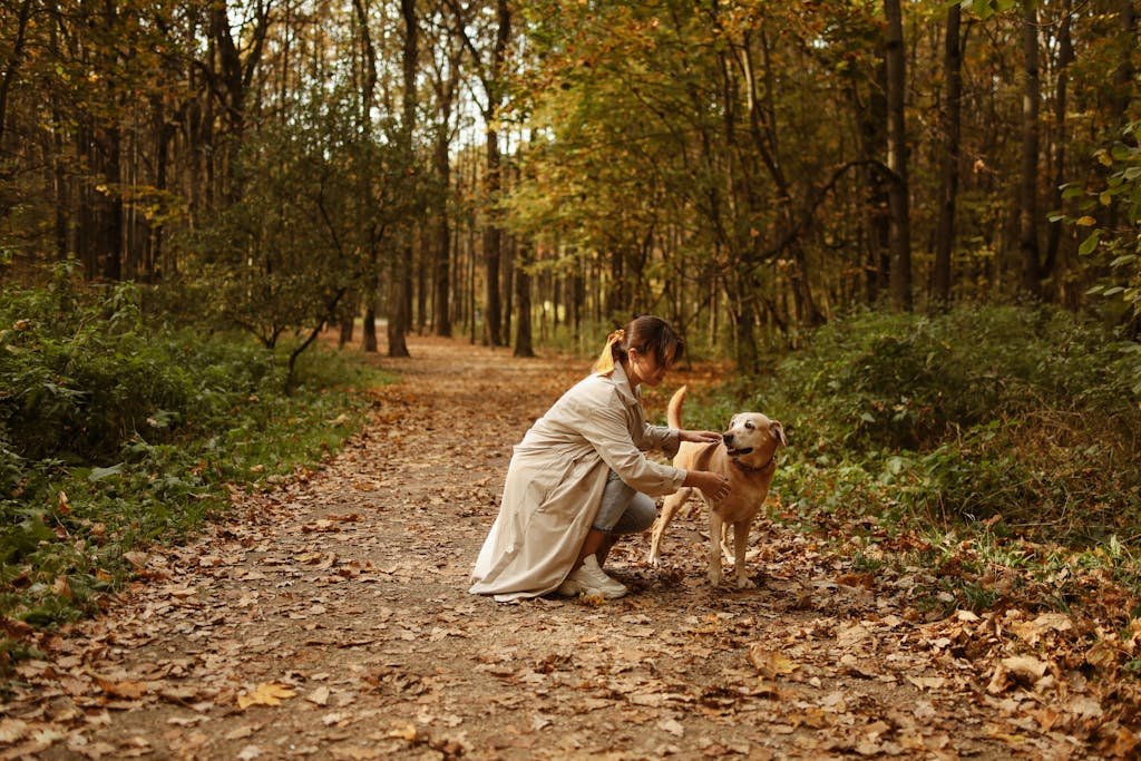 A woman kneels petting her dog on a forest path, surrounded by autumn leaves.